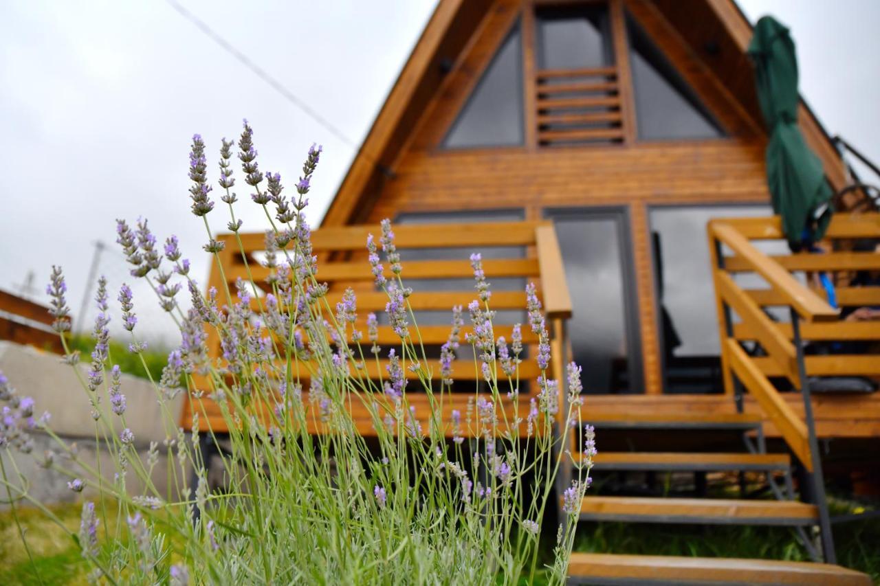 Kazbegi Spa Resort Cottages Экстерьер фото